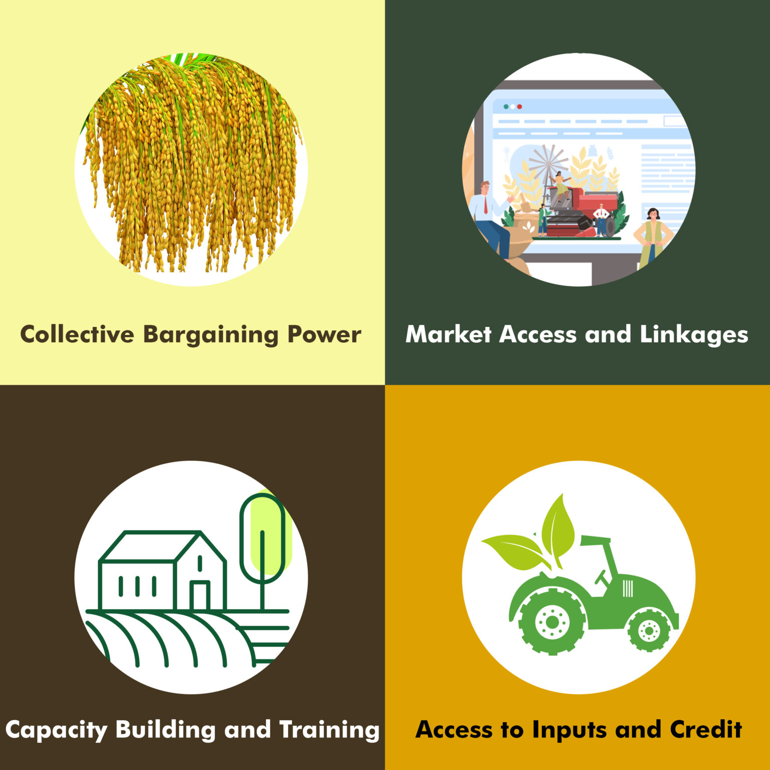 Farmer Producer Organizations